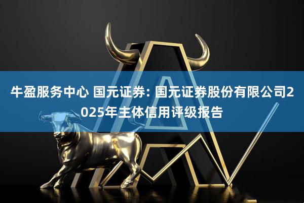 牛盈服务中心 国元证券: 国元证券股份有限公司2025年主体信用评级报告