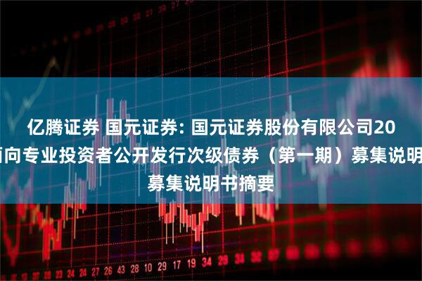 亿腾证券 国元证券: 国元证券股份有限公司2025年面向专业投资者公开发行次级债券（第一期）募集说明书摘要
