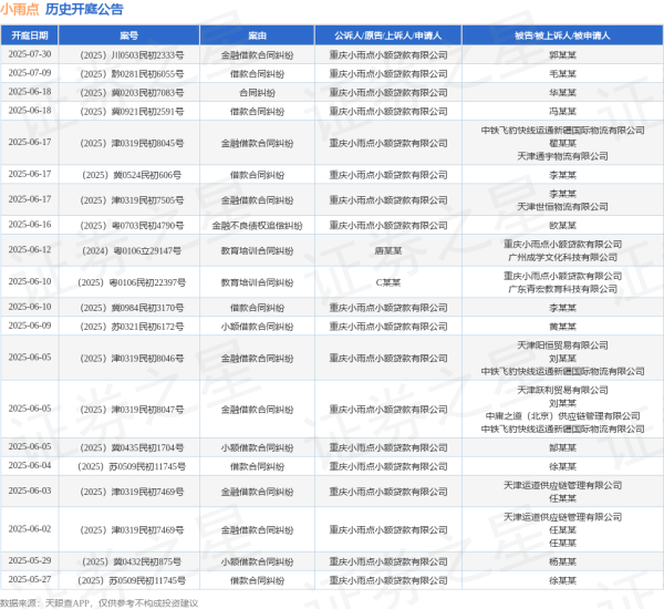 涨上策 小雨点作为原告/上诉人的1起涉及借款合同纠纷的诉讼将于2025年6月17日开庭