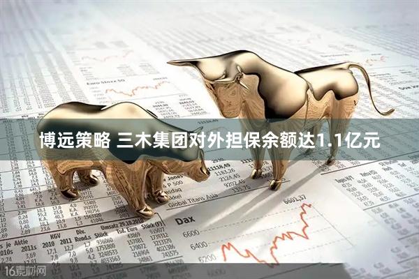 博远策略 三木集团对外担保余额达1.1亿元