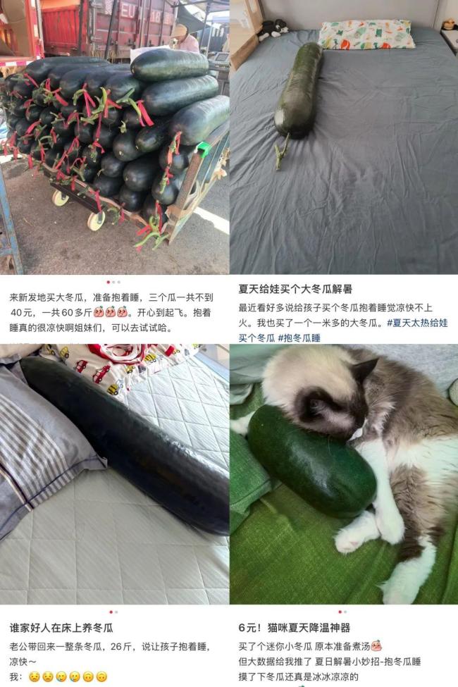 “抱冬瓜睡觉”真能降温吗